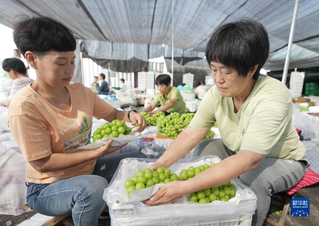 百盛电子游戏亚洲